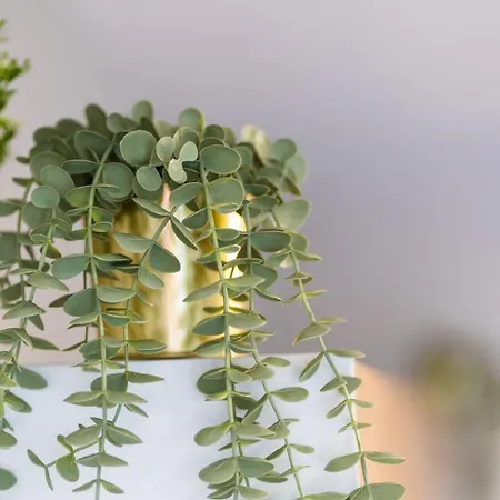 Guestredy - A Modern In