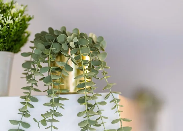 Guestredy - A Modern In